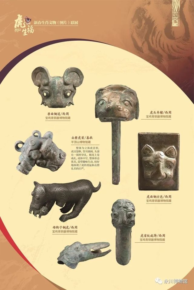 协办单位:永川博物馆主办单位:中国文物报社,北京自然博物馆, 重庆