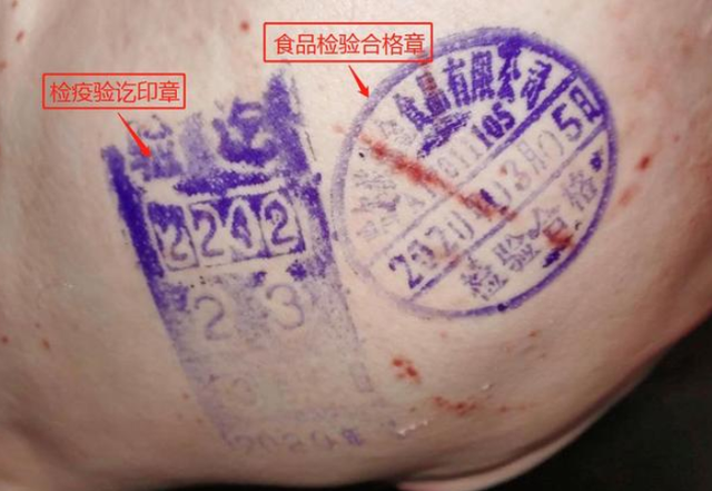 看看你买对了吗|猪肉|蓝章|印章