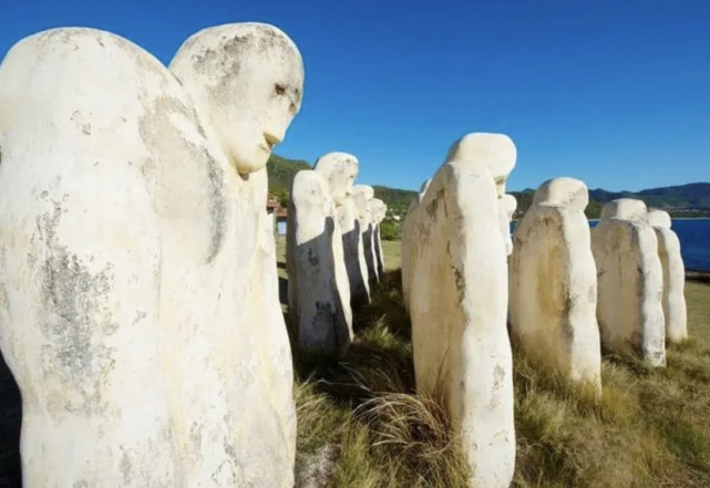 马提尼克岛|加勒比海|科学家|昆虫