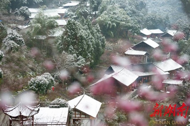 永順縣陳家坡村民喜提分紅