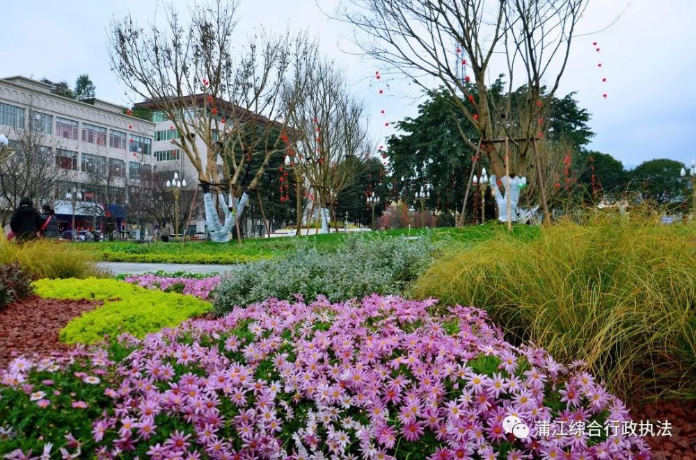 世紀公園把喜慶氛圍拉滿火紅的燈籠高高掛高速路口世紀公園馭龍橋頭