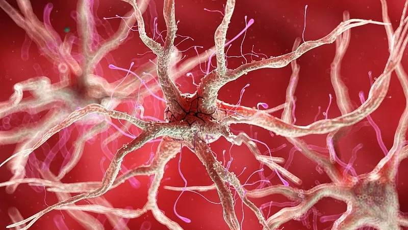 中科西部干细胞研究院:干细胞疗法在神经变性疾病的临床研究_腾讯新闻