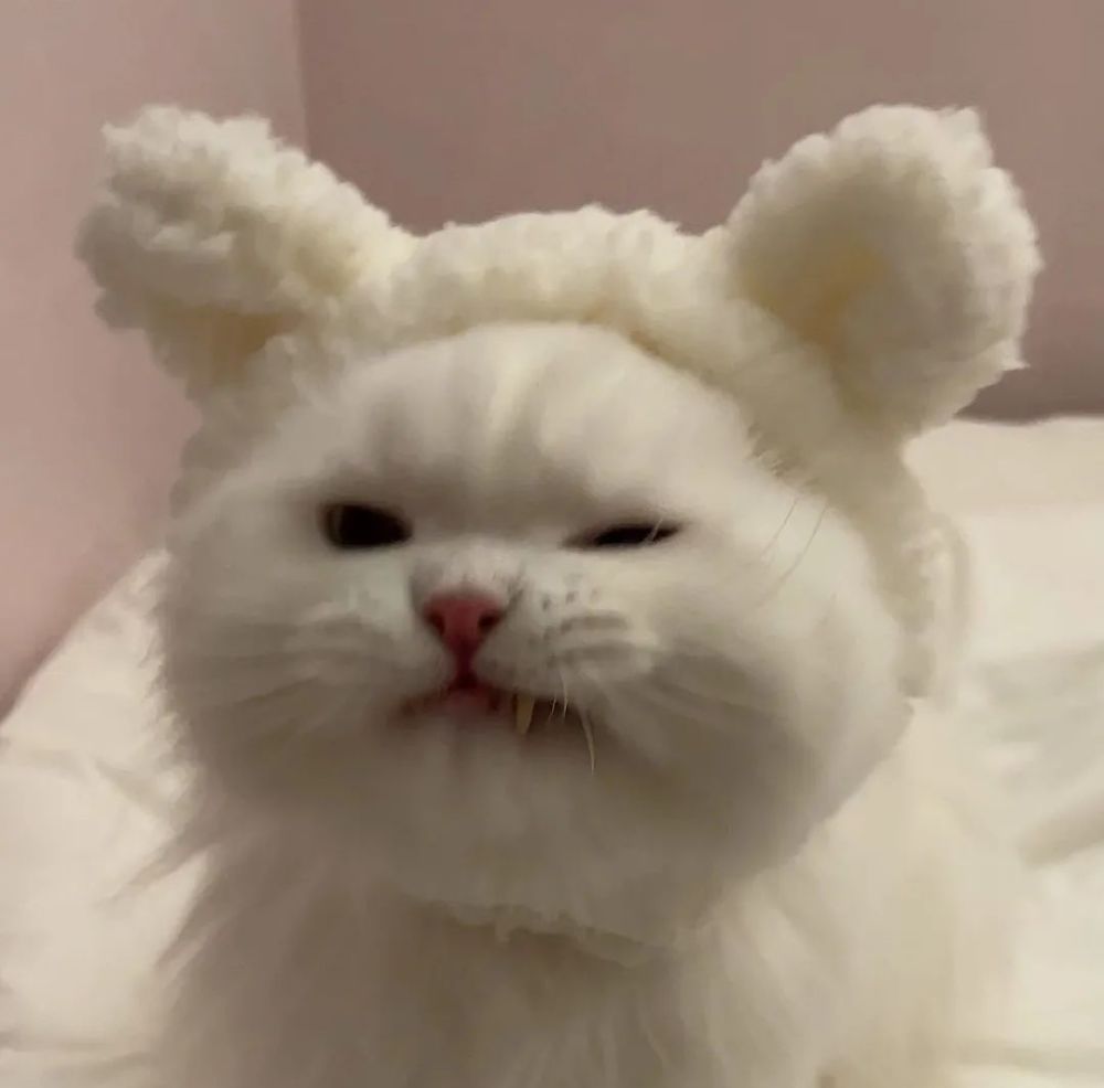 微信头像大全建议换下