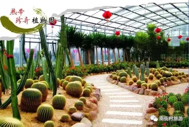 定了临颍南街村观光园正月初一开园啦