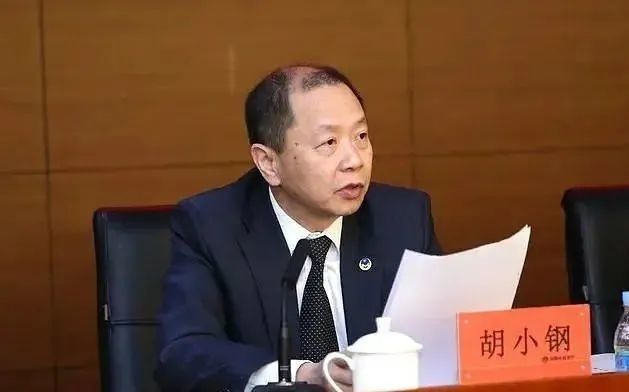 背景国有金融企业高官胡小钢落马年内金融系统已有十位高级干部被通报