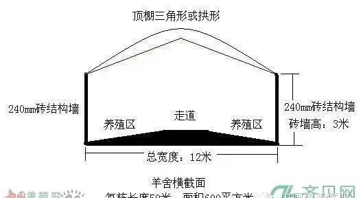 标准化羊舍建设设计图(价值十万?