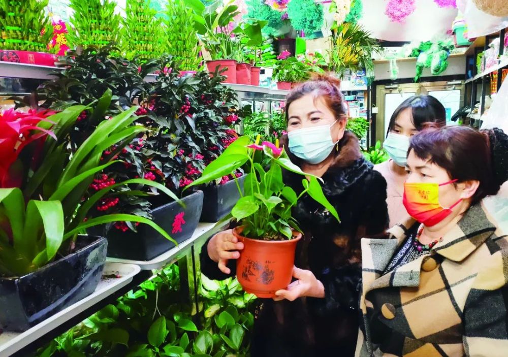 盆景植物排行_带你去逛2022年日本最顶级的盆景展