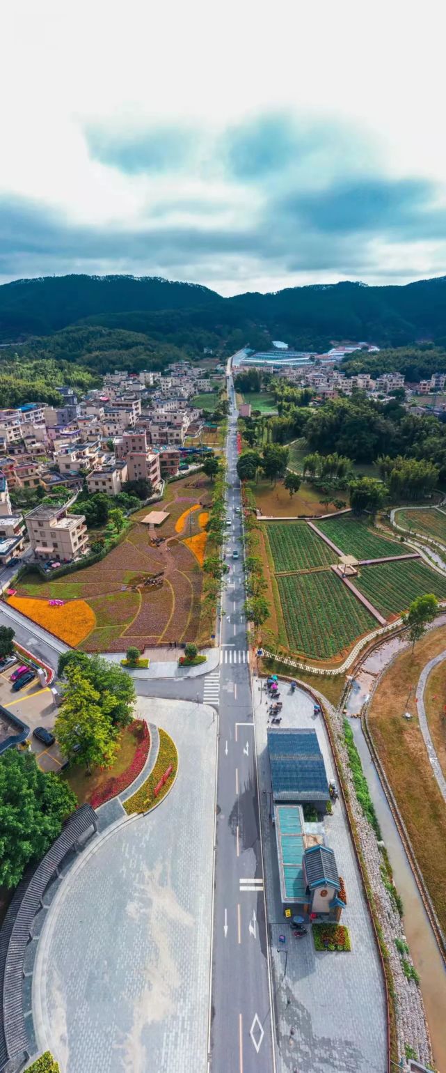 赏花爬山看天池黄埔宝藏村落走起