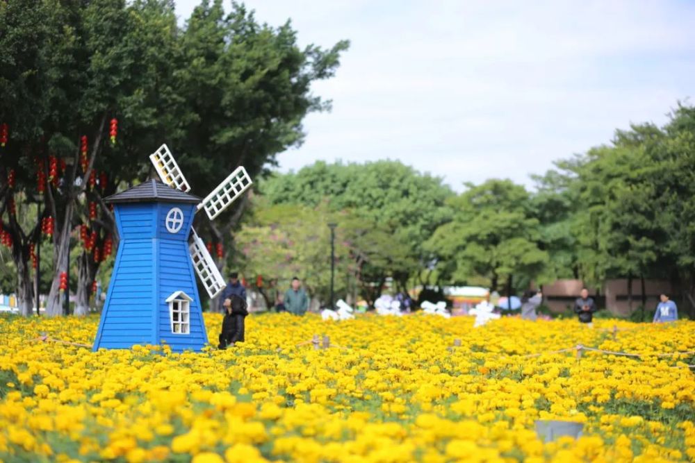 佛山花海景点地址图片