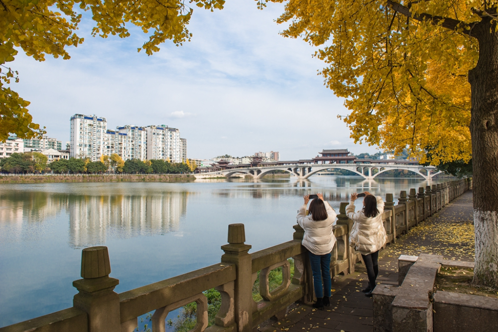 云上美图公园新津津津邀您来打卡