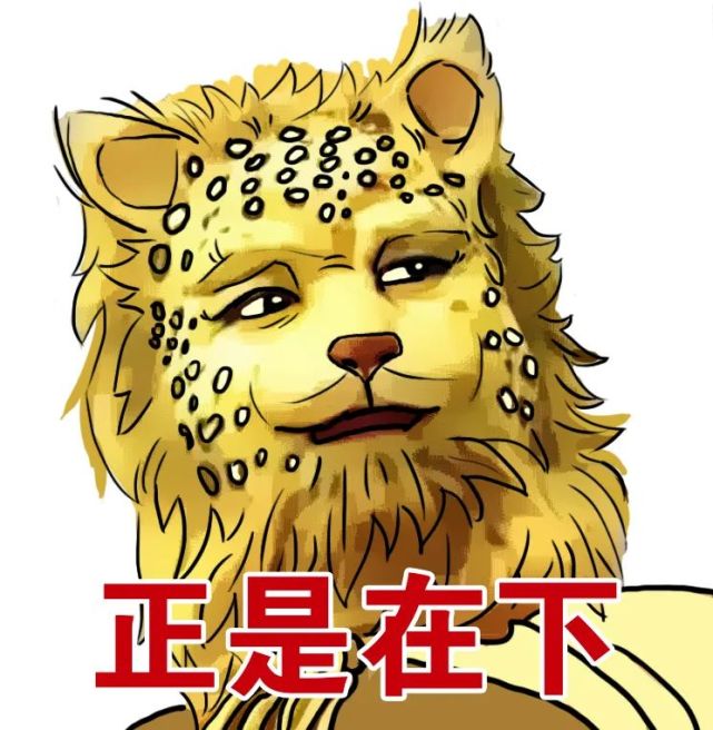 而是南山大王不是兰兰,不是坤坤,不是春春