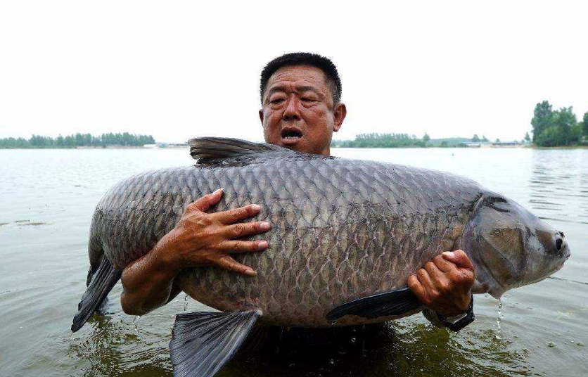 这个李大盆在做《游钓江湖》这个节目的时候,我想这个节目听说过的人