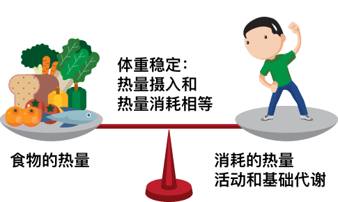 在圣诞新年假期期间,告诉大家常见的节日食物的热量,以及消耗这些热量