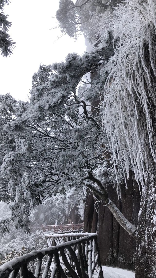 瑞雪兆丰年远眺灵山雪景灵山雪景实拍新春佳节登高祈福愿您日月如恒
