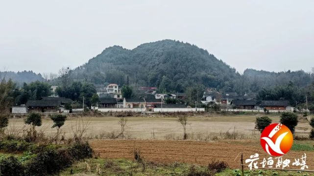 新春走基层板塘村里有门道