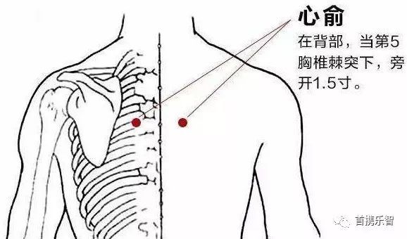 心俞穴缓解心痛失眠