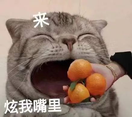 炫砂糖橘表情包图片