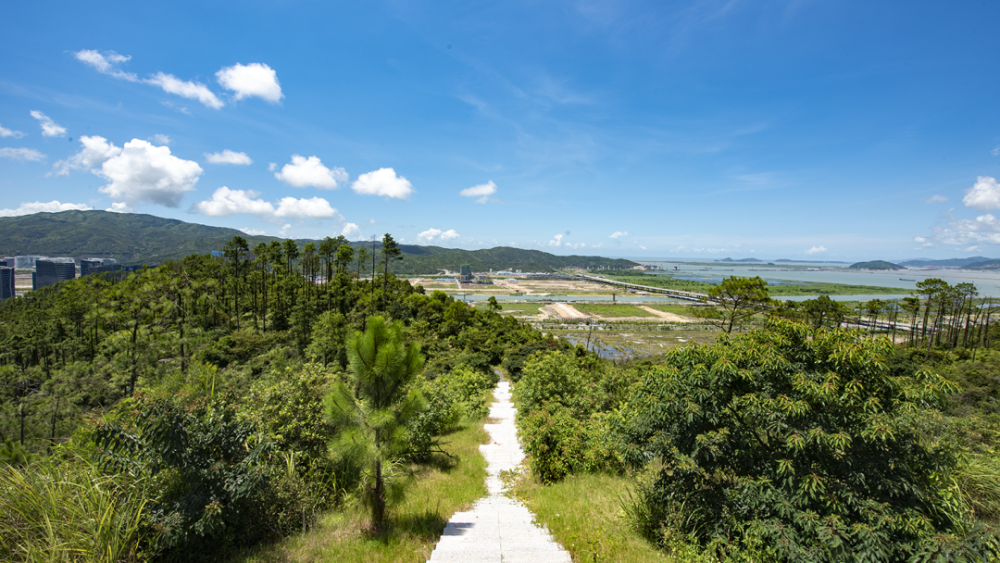 正式开放快来小横琴山步道开启新年登高之旅