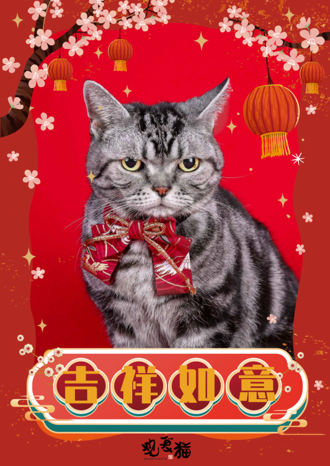 观复猫拜大年,嗷呜