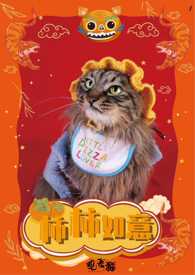 观复猫拜大年,嗷呜