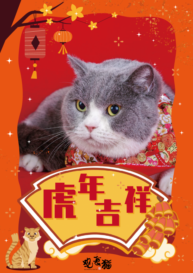 观复猫拜大年,嗷呜
