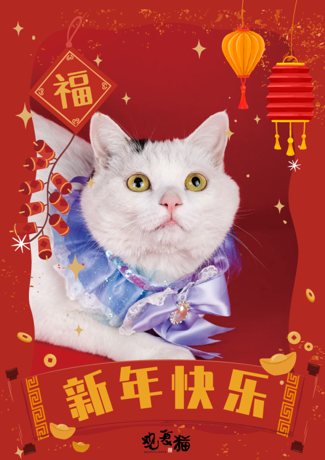 观复猫拜大年,嗷呜