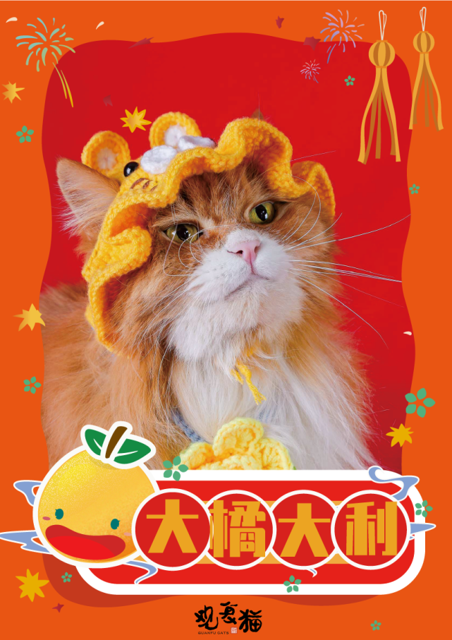 观复猫拜大年,嗷呜