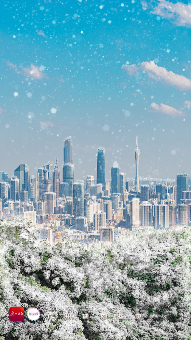 这些广州地标"雪景图"白云山,广州塔,海珠桥……雪花纷飞,银装素裹试