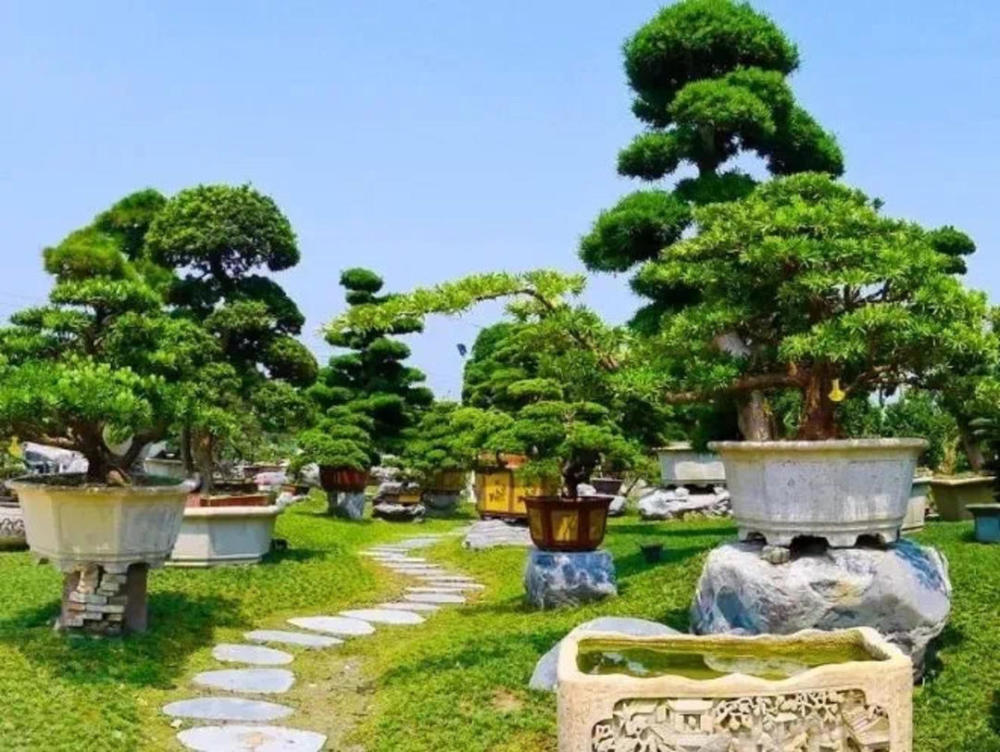 耕者俱乐部推荐路线:幸福田园——耕者俱乐部——三邑园艺——万花拾