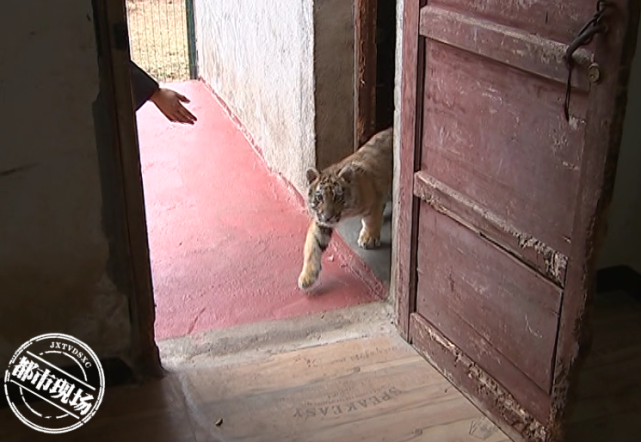 撫州仙蓋山野生動物園