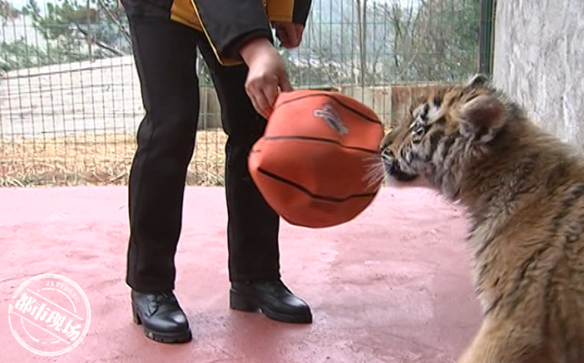 撫州仙蓋山野生動物園