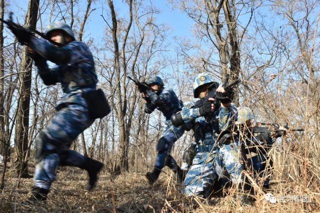 电视连续剧虎胆勇士图片