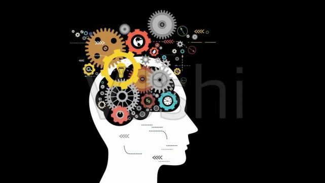 用理性思维做决策