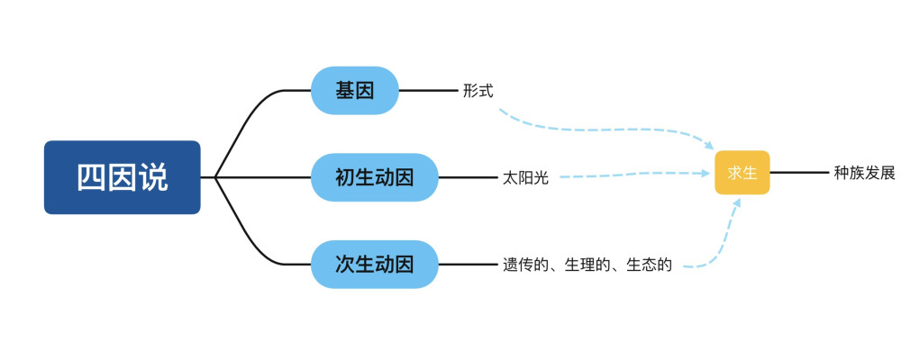 學術前沿人類真的是由其他生物進化來的飽受詬病的進化論