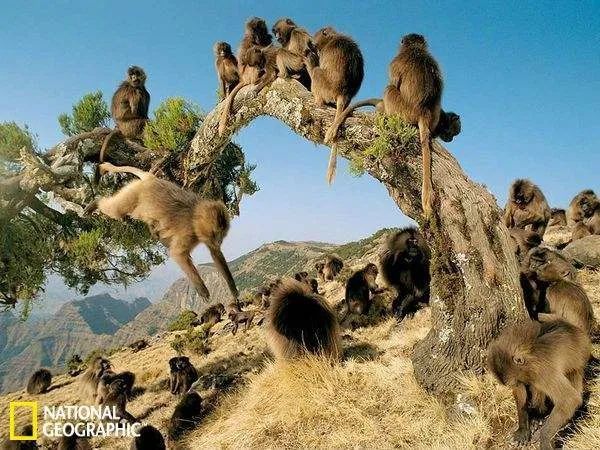 刘宏文的《异类》 |母爱之殇