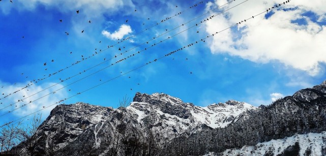 深夜里多刷几遍,星空也变得明亮起来|十世|绝地求生|主神|小说|秦长风