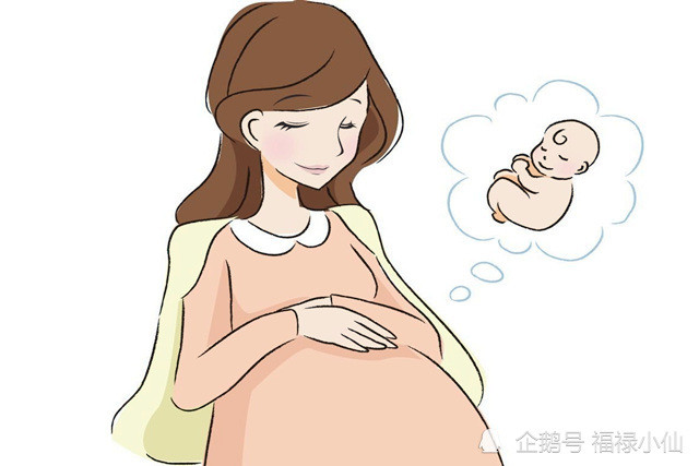 怀孕虎宝宝的卡通图图片