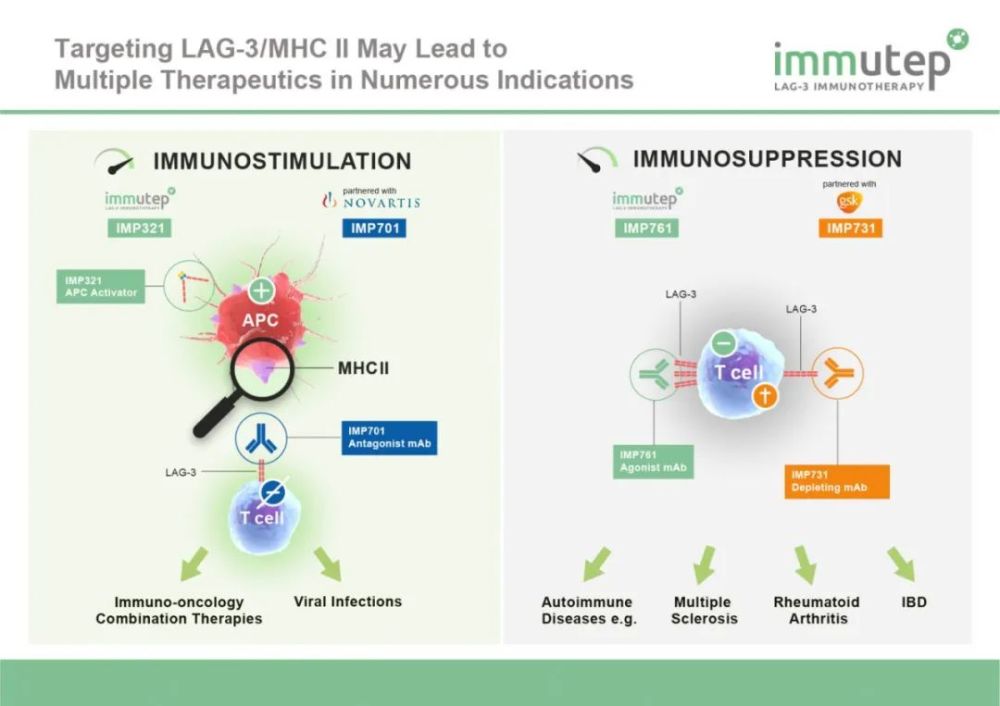 lag-3具有免疫激活和免疫抑制雙重作用(圖片來源:immutep官網)但另