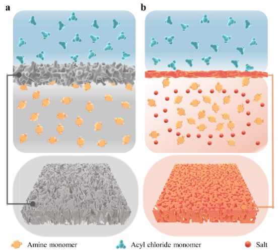 华科王艳李松nature子刊用于超快分子筛的结构均匀性聚酰胺基膜