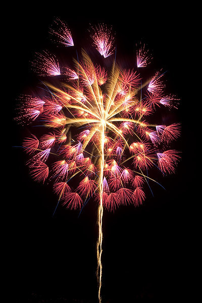 烟花炸开的瞬间