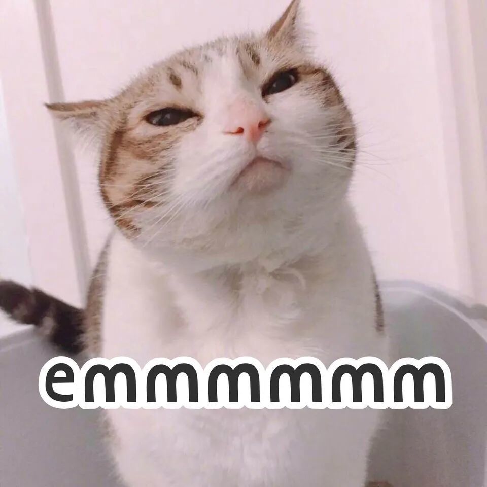 一组猫咪表情包 图来源网络 侵删676767_腾讯新闻