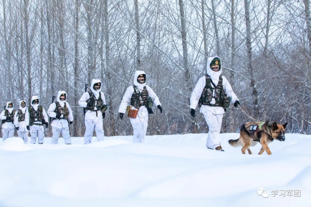零下38℃，巡逻在北纬49°的风雪国境线上！苏科版八下物理书