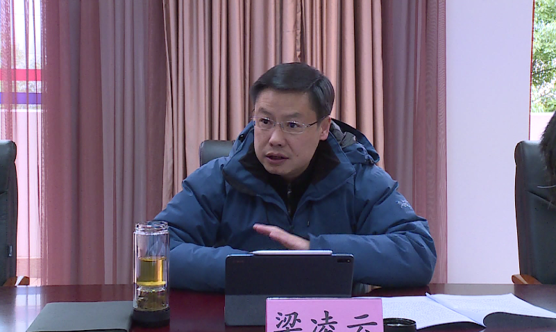 梁凌云形势严峻要确保疫情处置及时有效