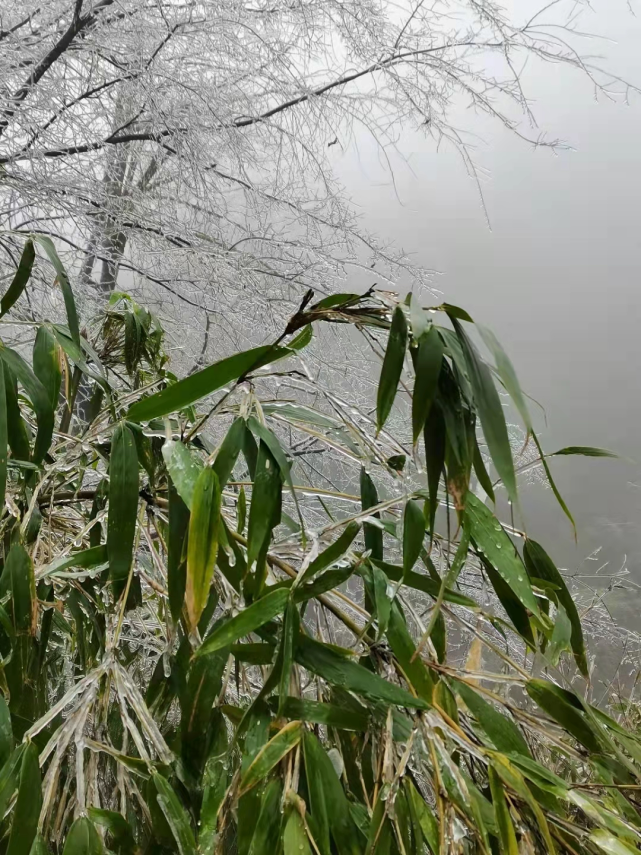宛如仙境!桂林这些地方下雪了,现在去刚刚好!