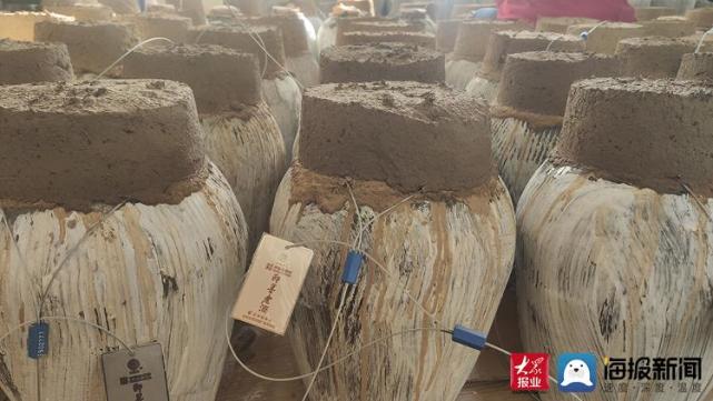 好品山东丨久蓄成芳 年味儿自有即墨老酒香