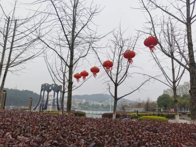 大红灯笼高高挂 公园广场年味浓|高高|春节|宿松县