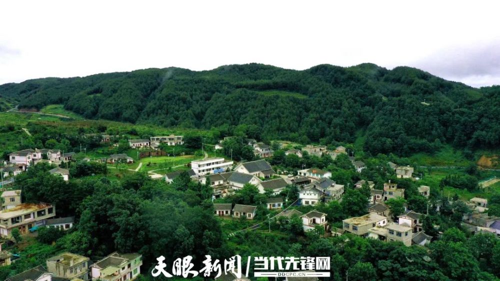 贵州日报刊登乾兴平文章牢记嘱托闯新路满怀信心向未来