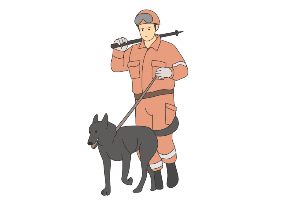 消防搜救犬曼巴和它的伙伴coco一起给您拜年啦!_腾讯新闻