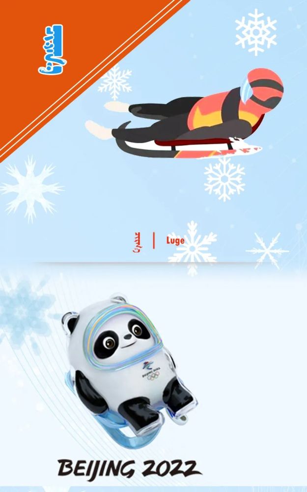 冬奥微科普|冬奥会之雪橇项目_腾讯新闻