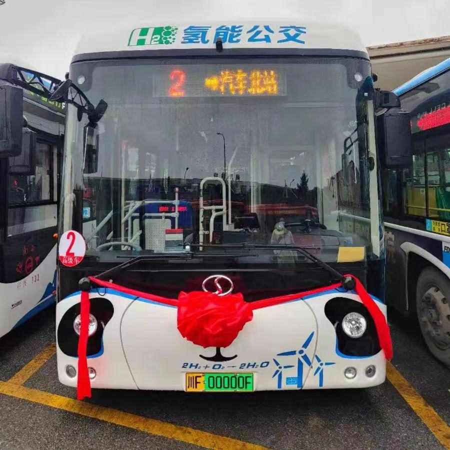 可可愛愛德陽上新一批熊貓公交車要經過這些地方